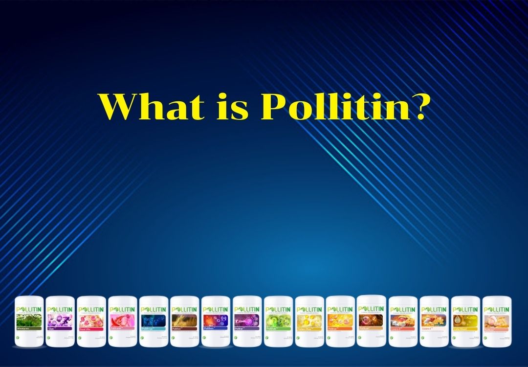 You are currently viewing What is pollitin?