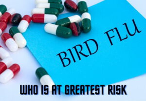 Read more about the article Bird Flu: Who Goes To Greatest Risk of Dying?