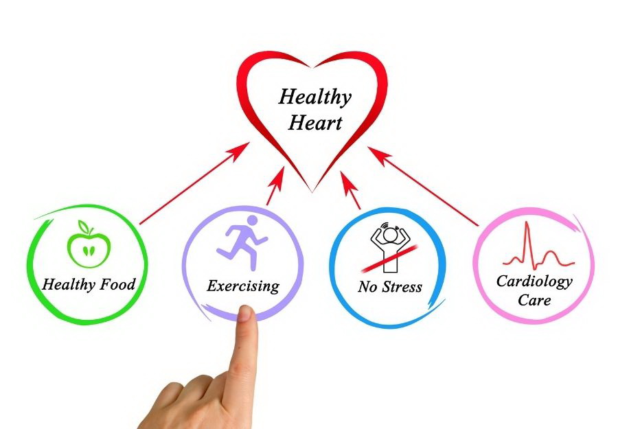 You are currently viewing Vitamins For A Healthy Heart