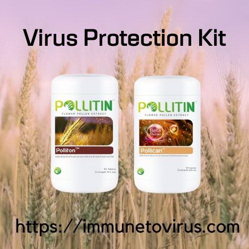 Virus Protection Kit